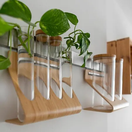 Appartamento Casablanca House *